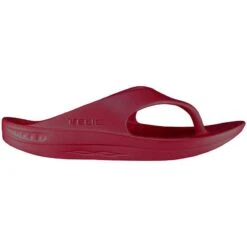 Telic Unisex Flip Flops 33 Telic Unisex Flip Flops -Cots Footwear Shop ff100 14