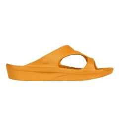 Telic Womens Z-Strap Sandals 36 Telic Womens Z-Strap Sandals -Cots Footwear Shop zs300 32