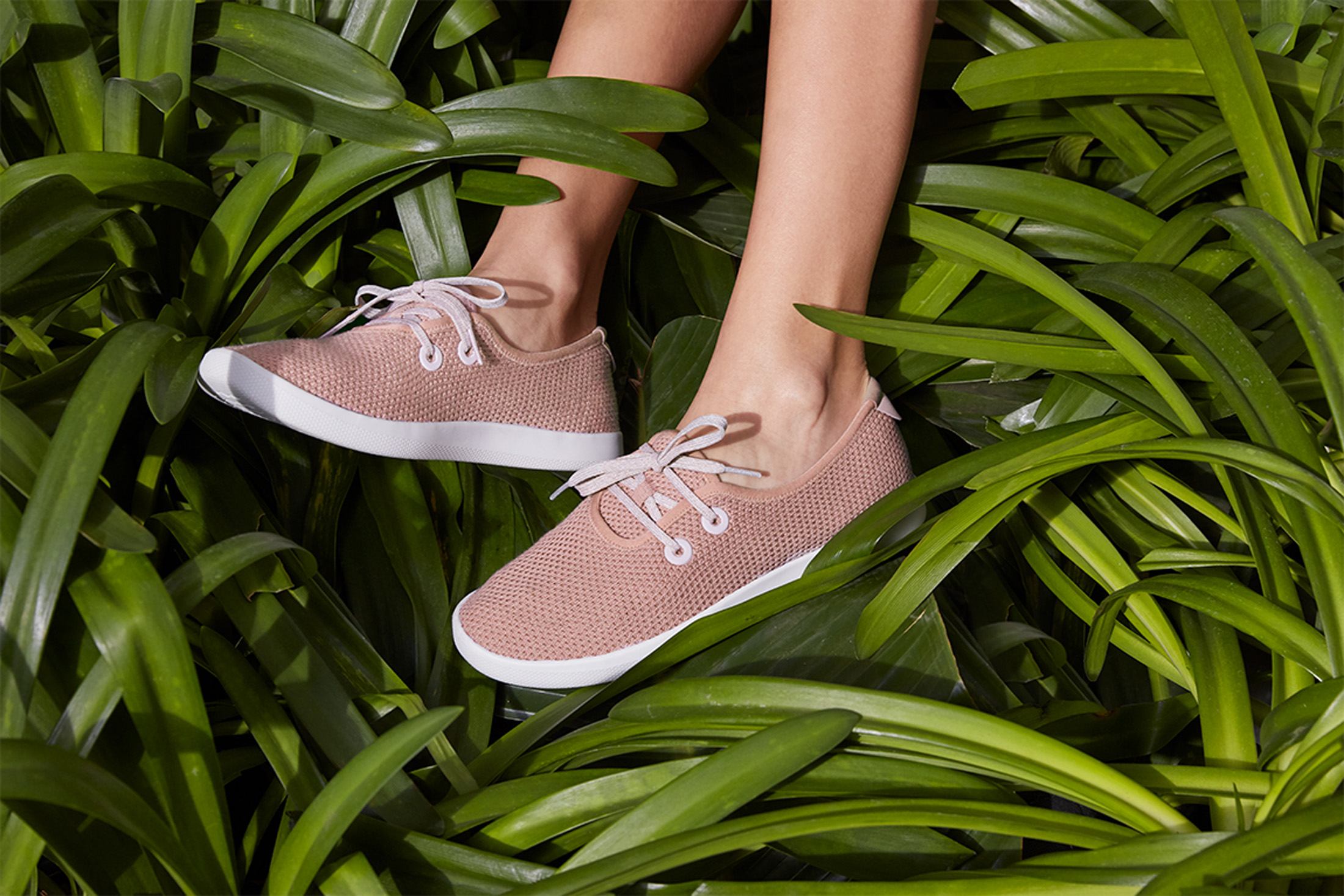 Cots Footwear Shop -Cots Footwear Shop Allbirds 2057 Shot 2 RoseTreeSkipper W 0289 1